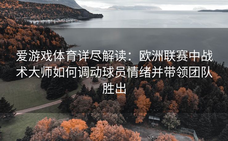 爱游戏体育详尽解读：欧洲联赛中战术大师如何调动球员情绪并带领团队胜出